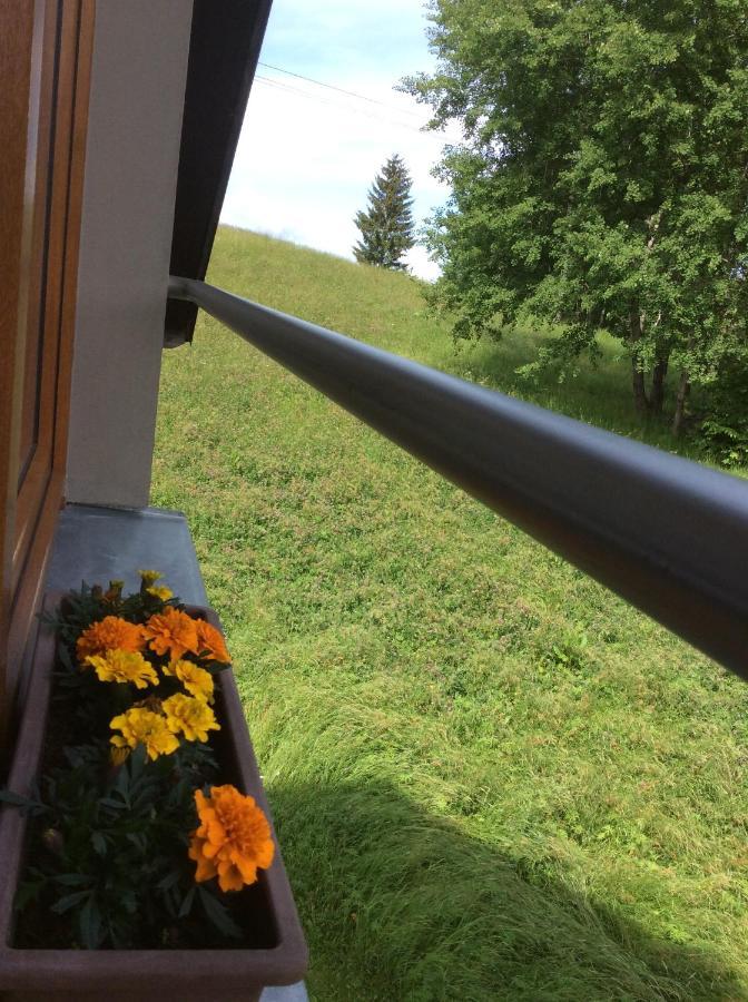 Apartman Odolov Jestrebi Hory Male Svatonovice 外观 照片